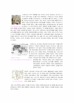 [일본사]일본의 역사에 관한 조사-8