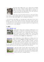[일본사]일본의 역사에 관한 조사-11