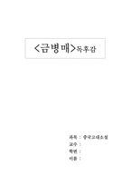 [독후감] `금병매`를 읽고-1