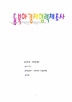 [경제통합] 동북아경제협력체조사-1