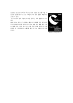 [마케팅전략]포지셔닝전략 성공사례에 관한 조사-4