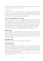 [조직이론] 글로벌기업 `NIKE`의 조직구조분석 - 나이키-14