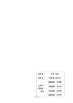 [조직이론] 글로벌기업 `NIKE`의 조직구조분석 - 나이키-16