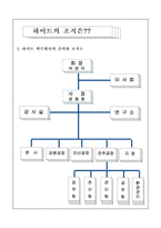 [조직분석] `Hite` 하이트 조직구조분석-7