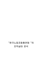 [경영조직론] `한국노동조합총연맹`의 조직실태 분석-15