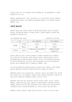 [인사관리] 국내 연봉제실시 기업 사례-9