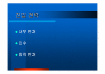 [경영전략]기업 혁신전략-13