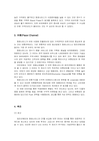 [마케팅] 청호나이스와 웅진코웨이의 비데 마케팅 및 STP 광고전략분석-15