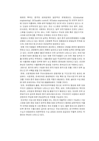 [패션마케팅] 한국 의류브랜드 중국진출전략-14