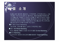 [마케팅]CJ홈쇼핑의 마케팅전략 및 대안-3
