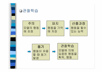 [마케팅심리]스타마케팅이란 무엇인가-6