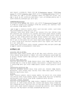 [조직관리]ISD(체계적교수설계), CBT/WBT, 학습조직의 정의-2