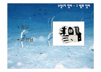 [수상레저의복]수상 레저 의복-15
