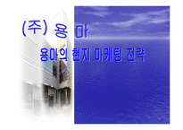 [국제경영](주)용마의 인도네시아 마케팅전략-1
