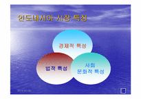 [국제경영](주)용마의 인도네시아 마케팅전략-6