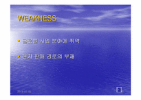 [국제경영](주)용마의 인도네시아 마케팅전략-12
