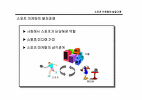 [스포츠마케팅] 국내 스포츠마케팅의 문제점과 활성화 방안-8