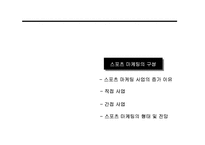 [스포츠마케팅] 국내 스포츠마케팅의 문제점과 활성화 방안-10