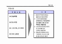 [스포츠마케팅] 국내 스포츠마케팅의 문제점과 활성화 방안-12