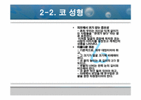 [의학]성형수술의 종류와 부작용에 대해-7