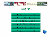 [경영분석]위즈위드(WIZWID)의 경영전략분석-2