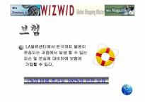 [경영분석]위즈위드(WIZWID)의 경영전략분석-12