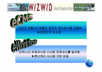 [경영분석]위즈위드(WIZWID)의 경영전략분석-13