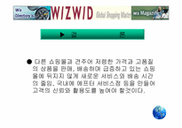 [경영분석]위즈위드(WIZWID)의 경영전략분석-19