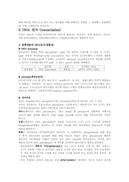 DNA복제 레포트-4