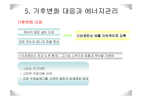 [경영전략]포스코 경영전략-13