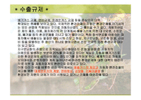 [경영전략]현대자동차 환경경영전략-11