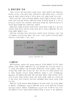 증권시장의 의의와 종류-2