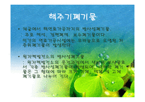 [폐기물처리공학]방사성폐기물의 처리처분-6
