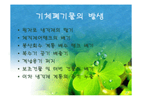 [폐기물처리공학]방사성폐기물의 처리처분-7