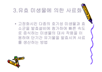 [폐기물처리공학]음식물 쓰레기 사료화방법-11