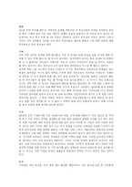 [선거]지방선거 공약의 문제점-1