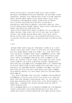 [경제학]동남아 화교사회의 형성과 정착과정-9