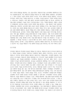 무도로서의 태권도역사,특징,형,대련,발전방향발전방향은 나의생각-6