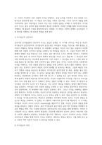 [유아기 인지발달] 전조작적 사고의 발달(전개념적 사고, 직관적 사고)-8