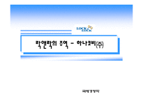 [국제경영] 락앤락의 주역 하나코비(주) 국제경영학 사례분석-1