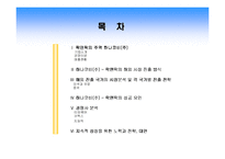 [국제경영] 락앤락의 주역 하나코비(주) 국제경영학 사례분석-2
