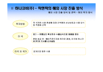 [국제경영] 락앤락의 주역 하나코비(주) 국제경영학 사례분석-9