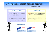 [국제경영] 락앤락의 주역 하나코비(주) 국제경영학 사례분석-12