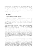 [머천다이징] Thursday Island(써스데이 아일랜드) 시장조사 및 마케팅전략-13