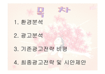[광고학] 비타500 광고기획안-2