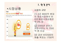 [광고학] 비타500 광고기획안-3