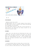 [국제경영] 태평양 화장품의 해외시장진출 사례-14