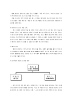 [국제경영] 태평양 화장품의 해외시장진출 사례-20