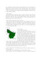 [프랑스문화] 프랑스의 요리-3