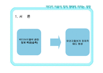 [정치학] 미디어 이용이 유권자의 정치행태에 미치는 영향 - 각 매체별 5.31 지방선거를 중심으로-4
